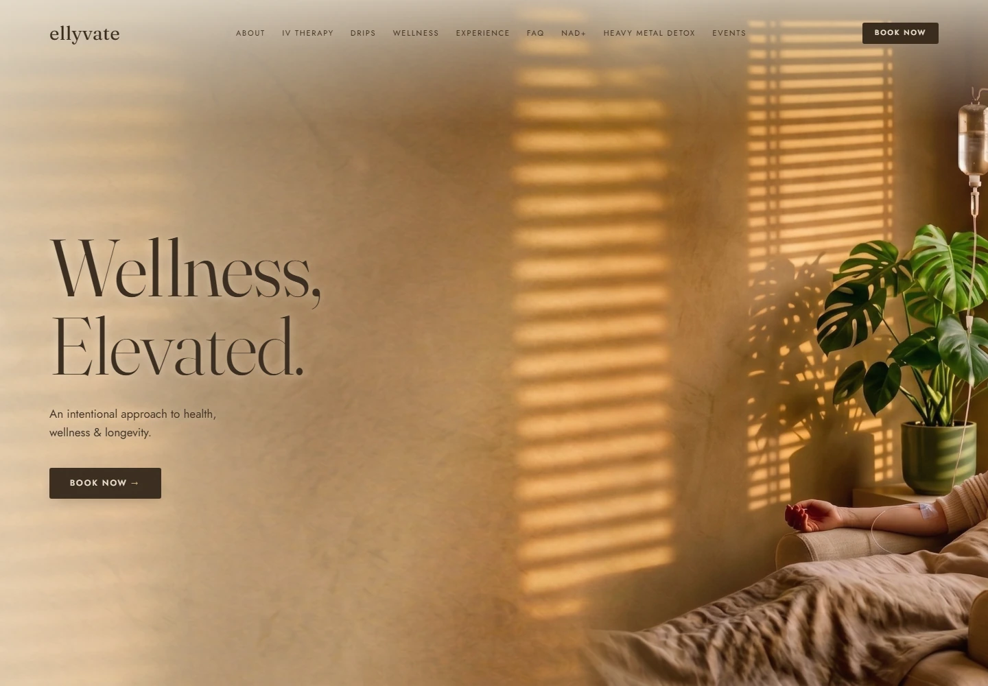 Ellyvate website, captured from the actual local build